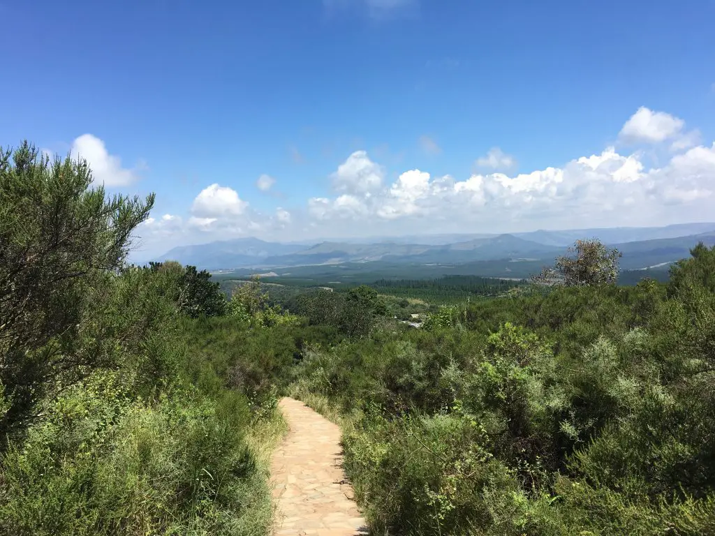 walkway at God's Window