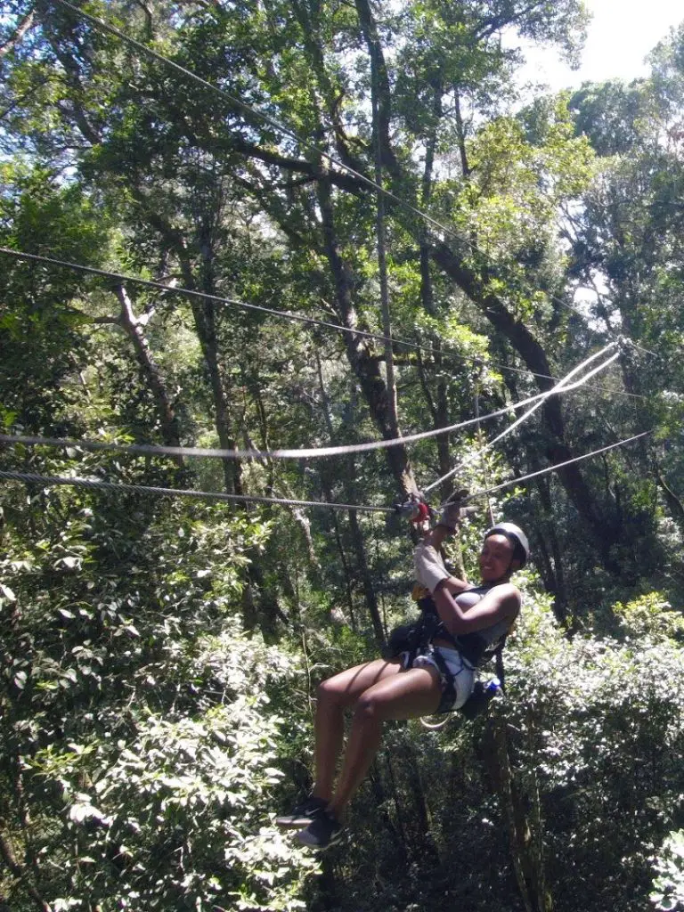 Gophari ziplining at Canopy Tour SA Tsitsikamma branch