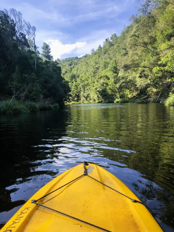 Paddle Boarding on Storms River