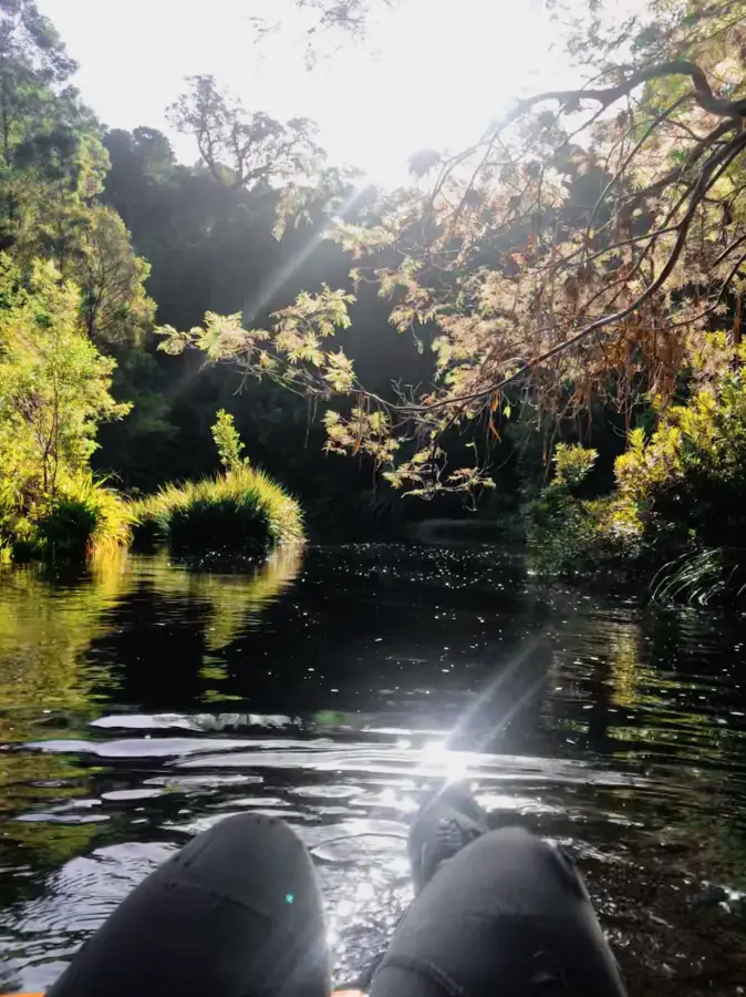 Gophari tubing on Storms River