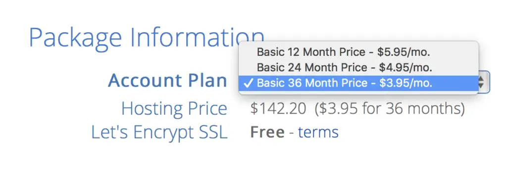 Bluehost package options