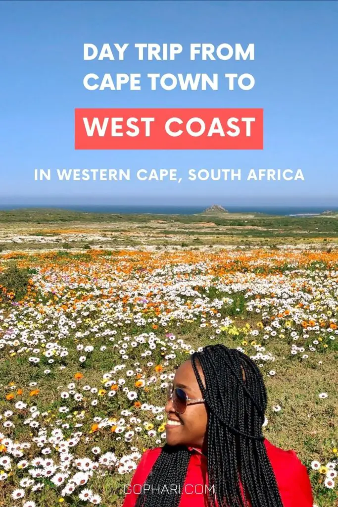 Day trip from Cape Town to West Coast