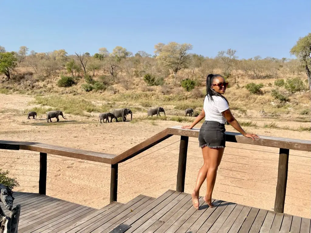 Elephants at the riverbed with Gophari at Jock Safari Lodge